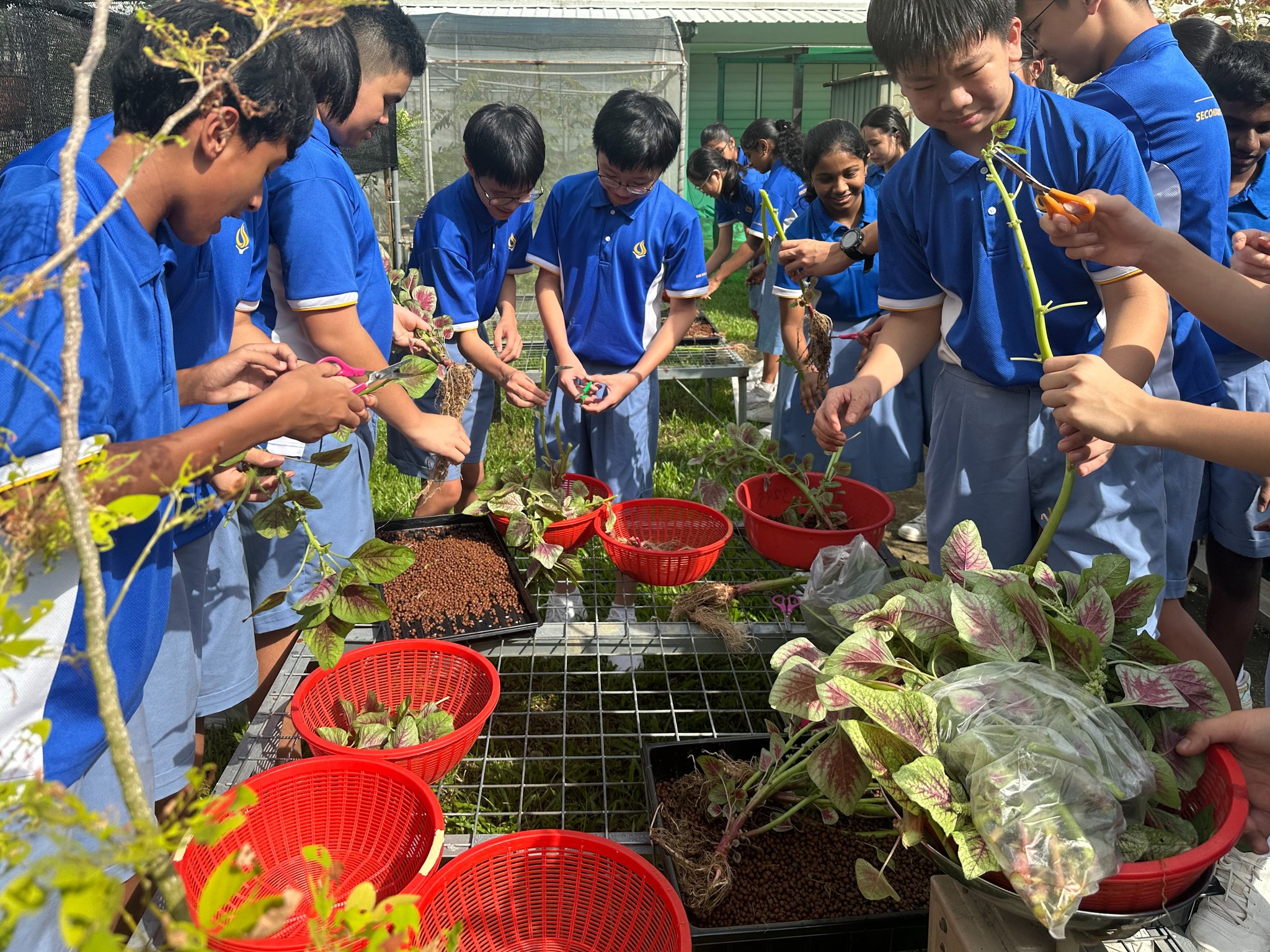 Sec 1 Farm To Table